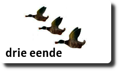 Drie eende